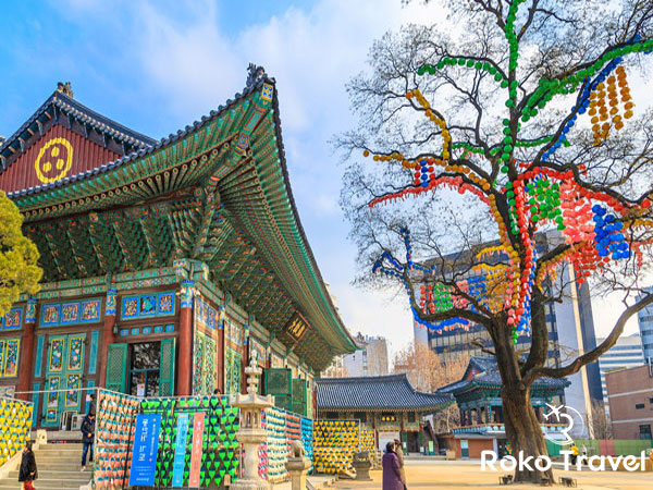 TOUR HÀN QUỐC: SEOUL - ĐẢO NAMI - EVERLAND - VƯỜN NHO (THUÊ NGUYÊN CHUYẾN BAY VIETNAMAIRLINES)